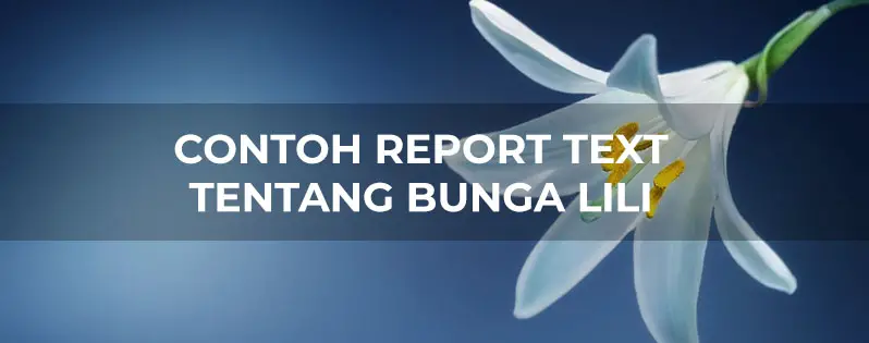 6 contoh report text tentang bunga