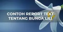 Report Text Bunga Lili